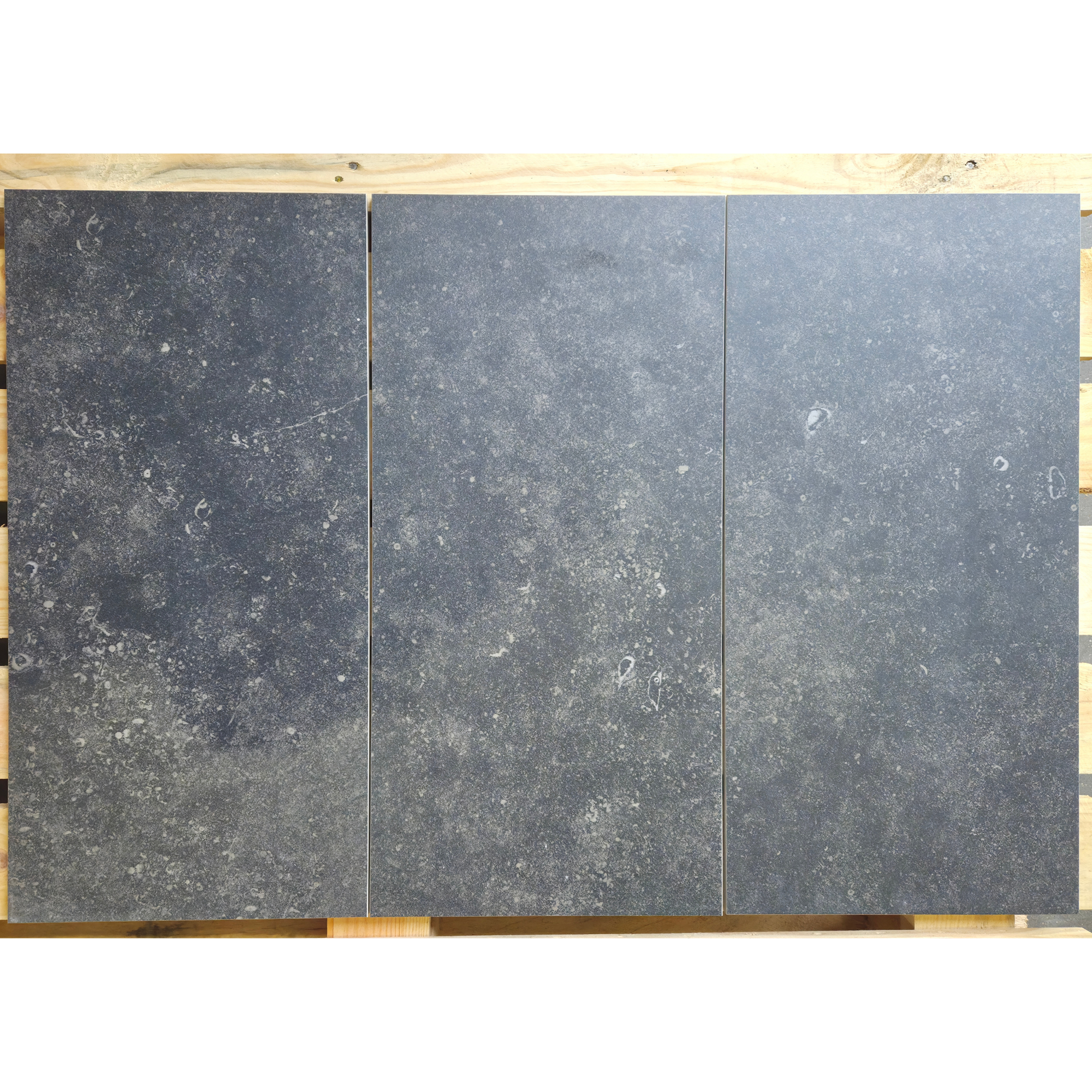 Belgische Blauwsteen Venetum | 400x600x15mm | Kalksteen