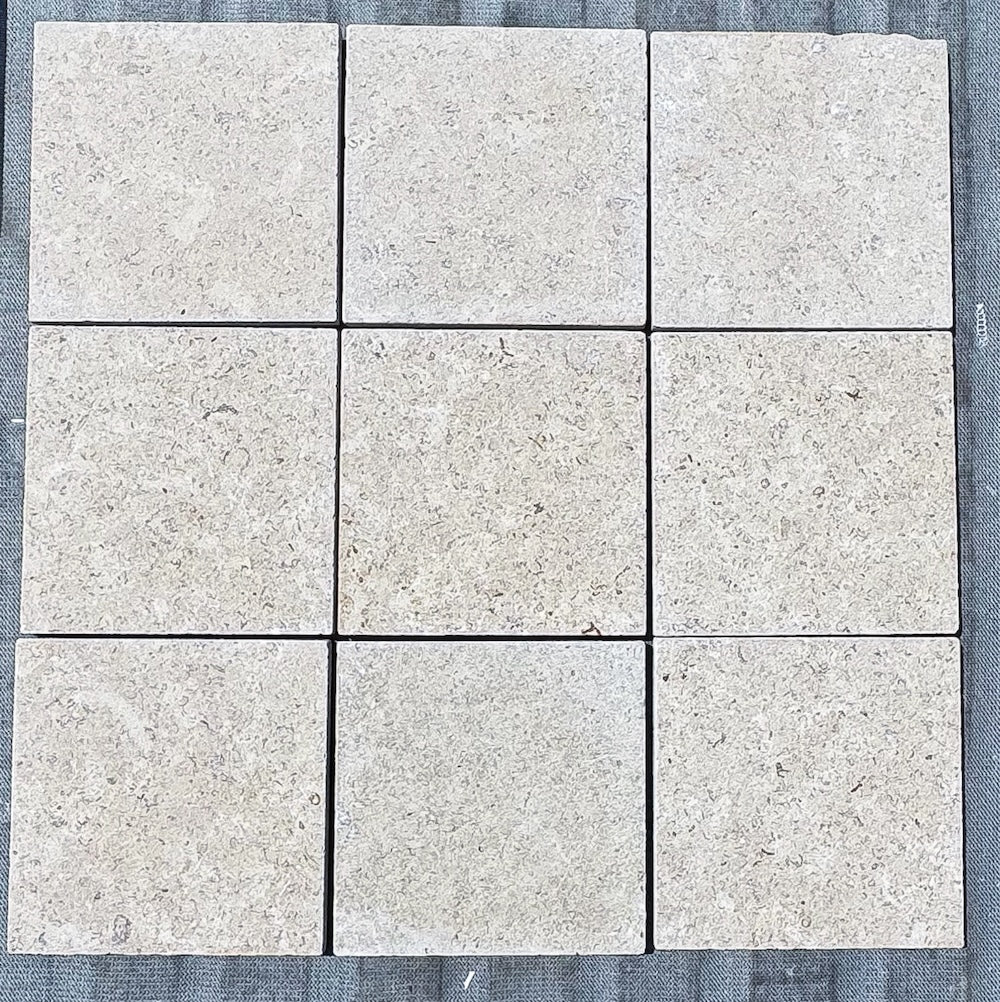 Champollion Venetum | 250x250x20mm | Kalksteen