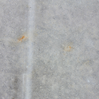 Fontana Vecchia | Gezandstraald | 500x800x20mm | Marmer