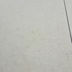 Mafra | Verzoet | VLx400x20mm | Kalksteen