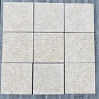 Champollion Venetum | 250x250x20mm | Kalksteen