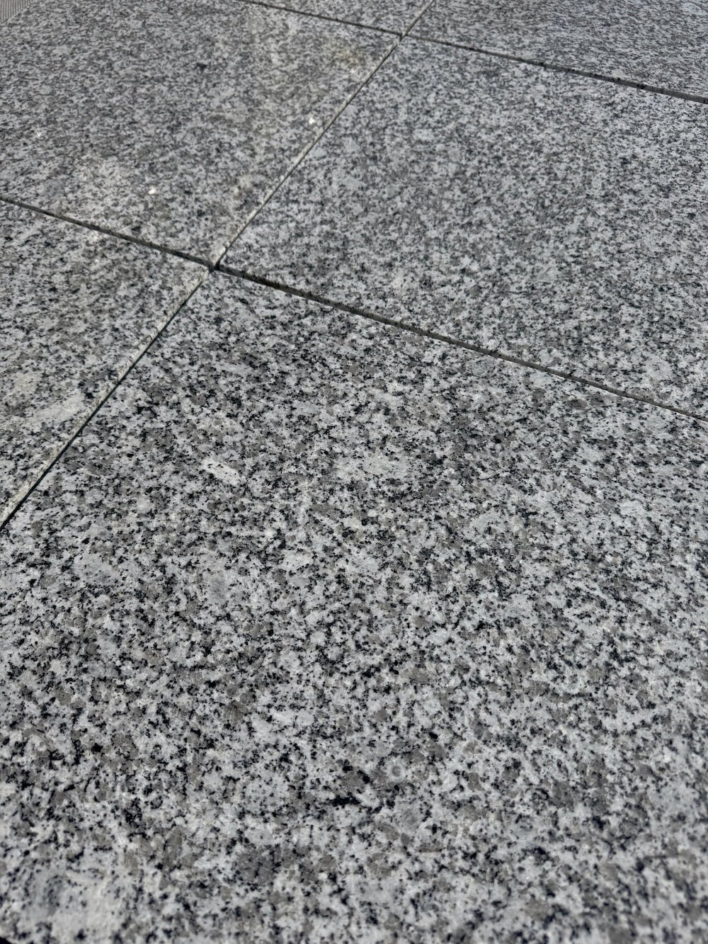 Palladio Cristal | Poli | 600x600x20mm | Graniet